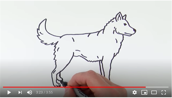 dog 